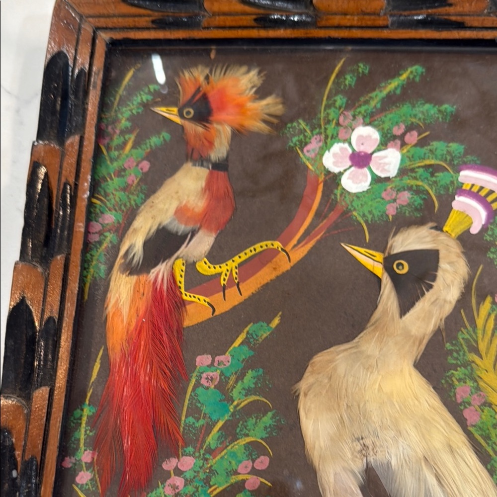 1950’s Mexican Feather Art Picture with Birds in wooden frame - Picture 2 of 8